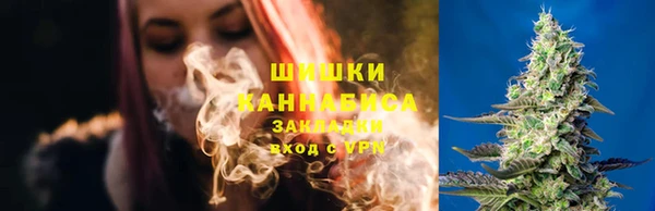прущие крисы Балахна