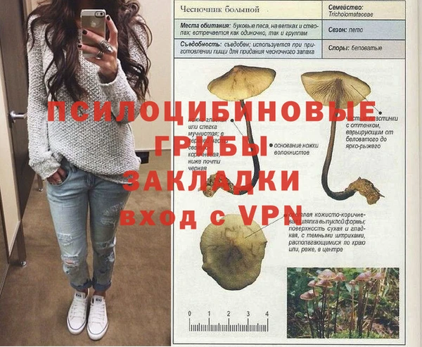 прущие крисы Балахна